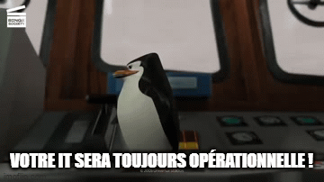 meme-pinguin-madagascar