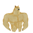meme-chien-muscle